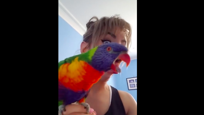 Mira cómo este loro imita todo lo que su dueña hace