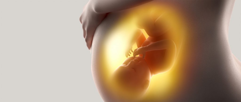 Imagen de un bebé dentro del vientre materno
