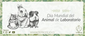 ONG Te Protejo conmemora el Día Mundial del animal de laboratorio