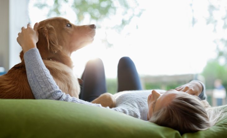 las mascotas pueden darte felicidad