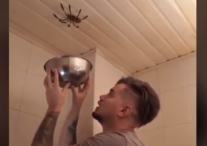 ¿Real o falso? Video muestra el momento en que desaparece una araña