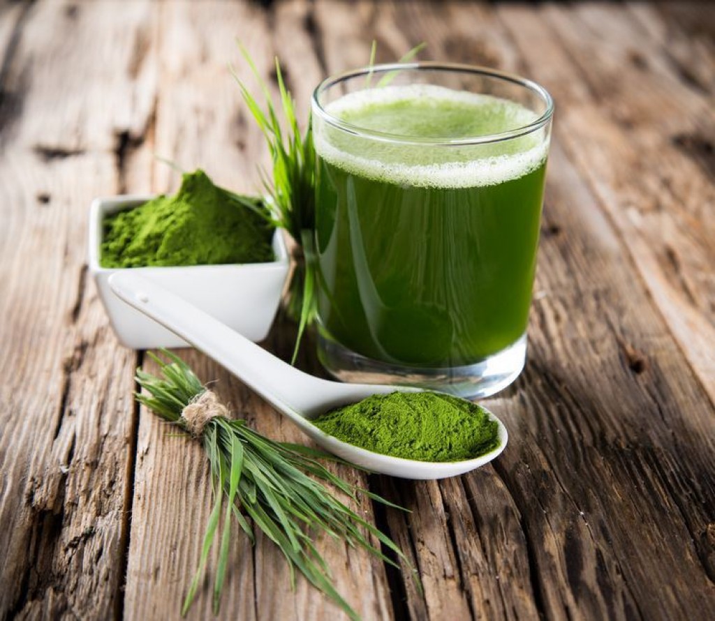 Wheatgrass