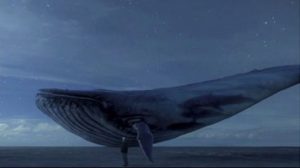 Detienen al creador del peligroso desafío de la ballena azul