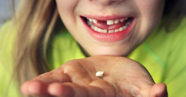 ¿Por qué es importante conservar los dientes de leche de tus hijos?