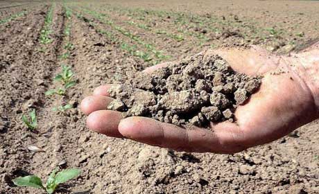 Tierras secas por escasez hidrica