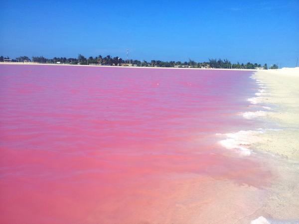 Laguna rosada, un lugar del mundo que debes conocer sí o sí