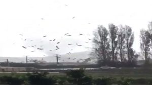 ¡Increíble! Mini tornado sacudió a Quillota