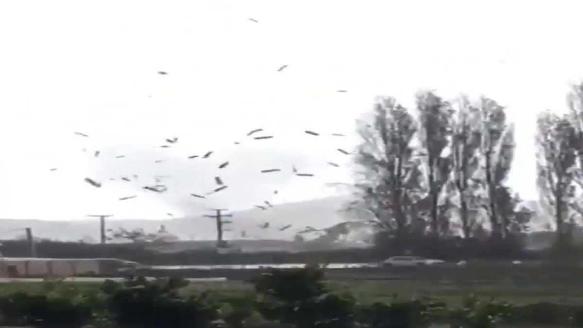 ¡Increíble! Mini tornado sacudió a Quillota