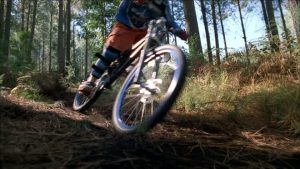 Ciclistas son sorprendidos por un oso en pleno camino