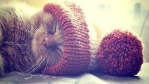 #AlertaDeConcurso Pasa un invierno abrigada con un pack de productos Monarch