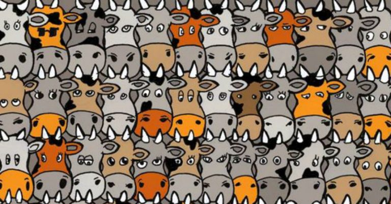 #DesafíoFMDOS ¡Encuentra al perro escondido entre todas las vacas!