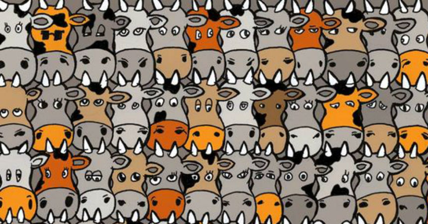 #DesafíoFMDOS ¡Encuentra al perro escondido entre todas las vacas!