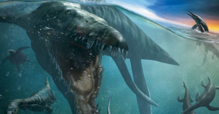 Monstruo marino del tamaño de un autobús fue encontrado en Rusia