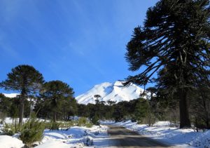 #FMDOSTeInforma Once personas están extraviadas en el volcán Lonquimay