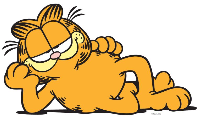 ¡Se nos cayó el carnet! Garfield cumple 39 años
