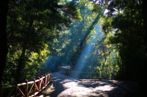 ¡Aplausos! Chile es nominado como mejor destino de turismo aventura en Sudamérica