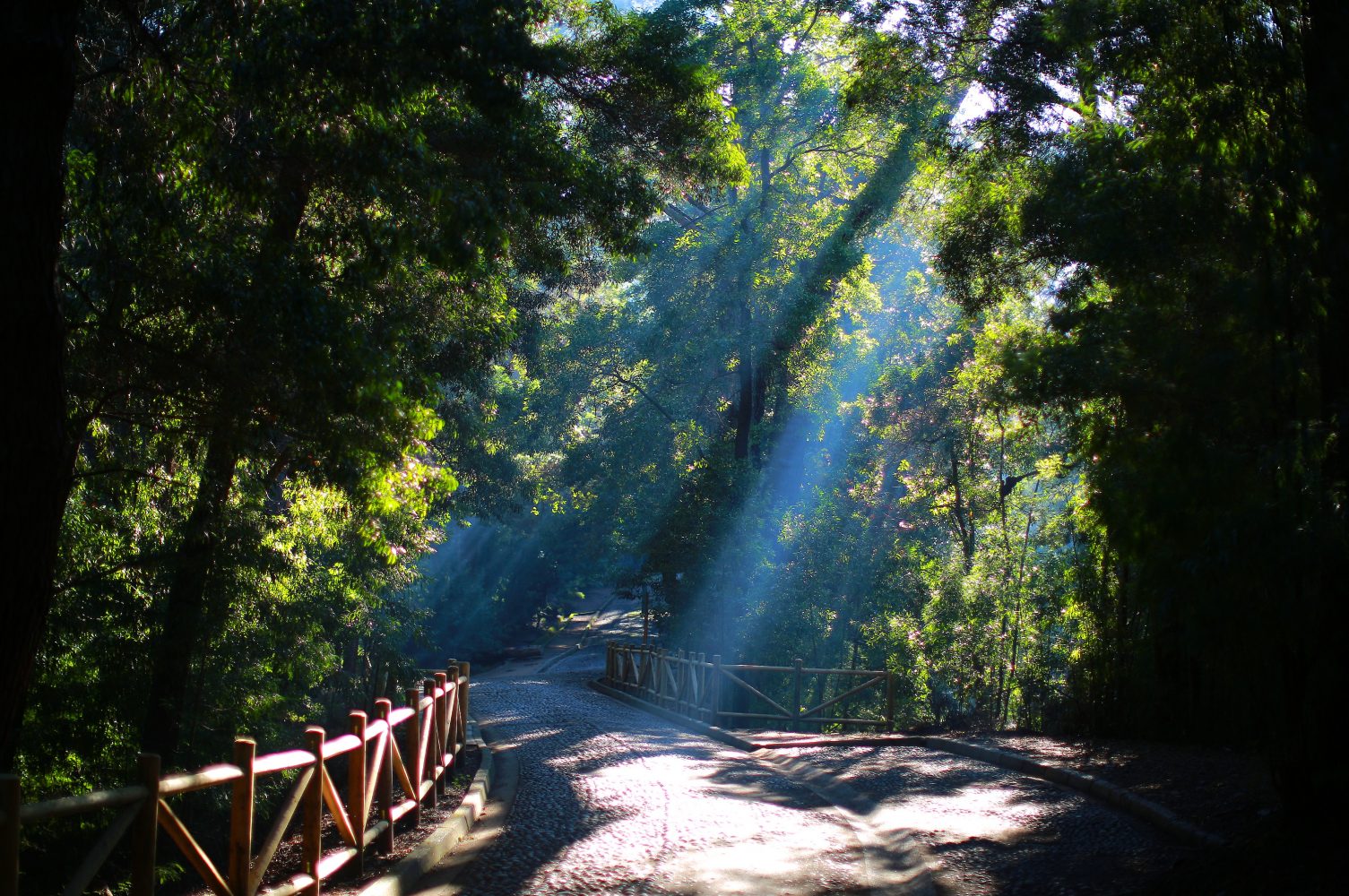 ¡Aplausos! Chile es nominado como mejor destino de turismo aventura en Sudamérica