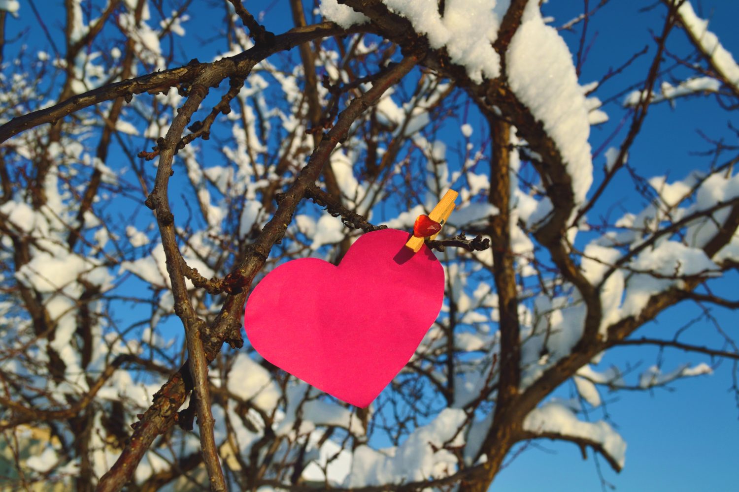 Horóscopo zodiacal: ¡Semana de cambios gracias al solsticio de invierno!