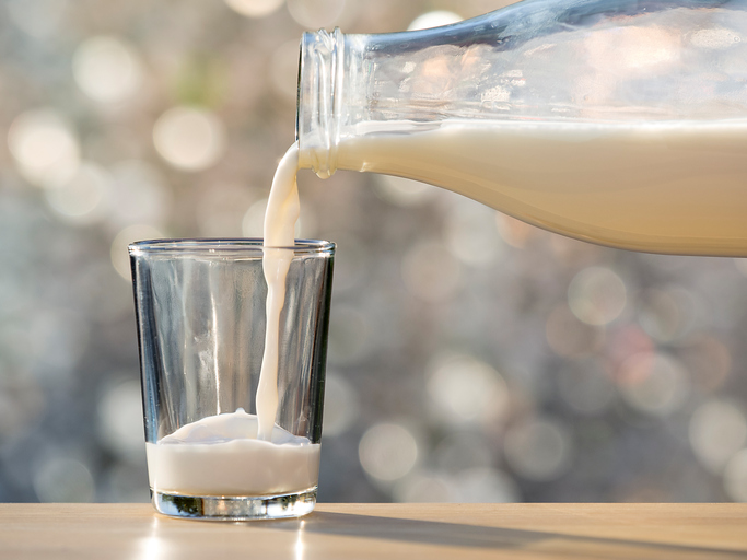 Alerta alimentaria por presencia de bacteria en leche