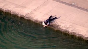 El heroico rescate policial a un perro que cayó en un lago