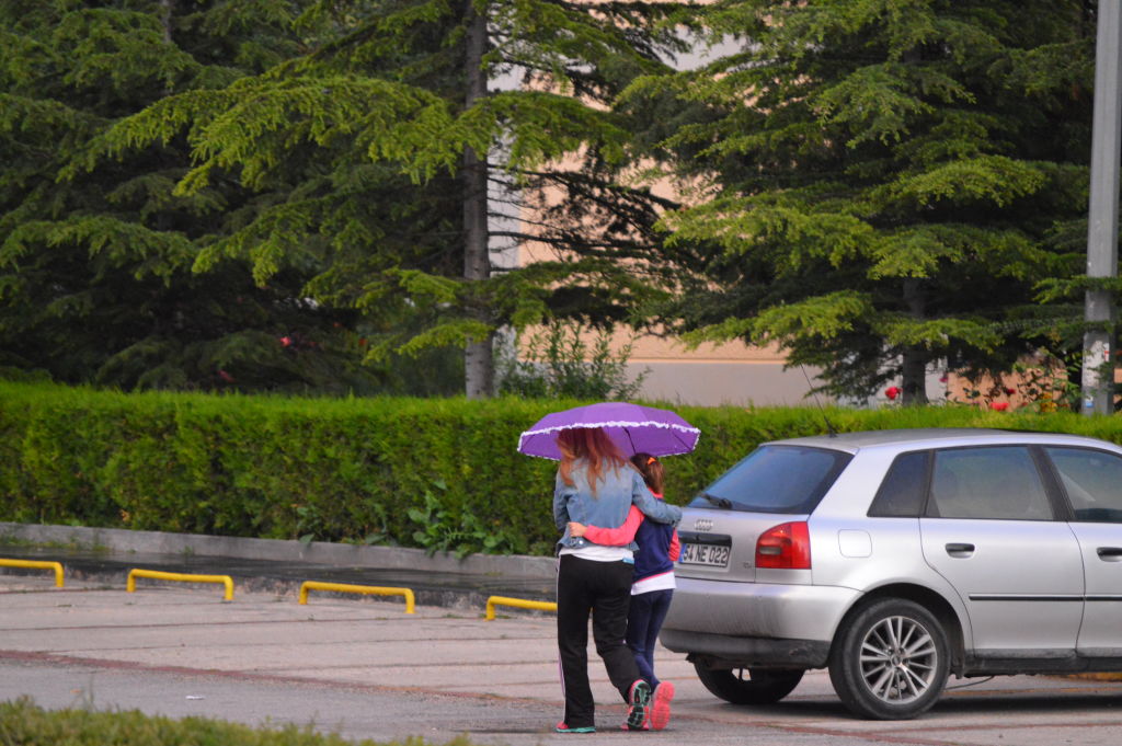 Trastorno afectivo estacional