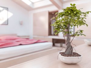 Cómo lograr la armonía en el dormitorio según el Feng Shui