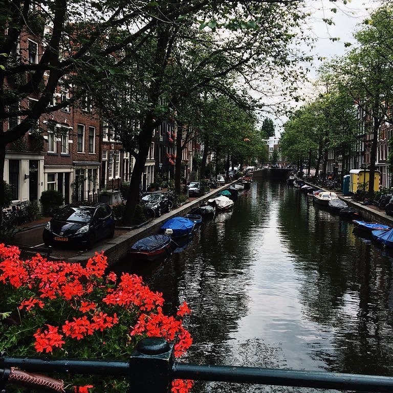 Chayanne vacaciones Holanda