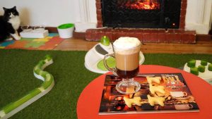 El Mundo de Dalí: el primer café con gatos permanente de Chile