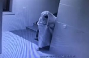 Ladrón se disfraza de fantasma para engañar a las cámaras de seguridad