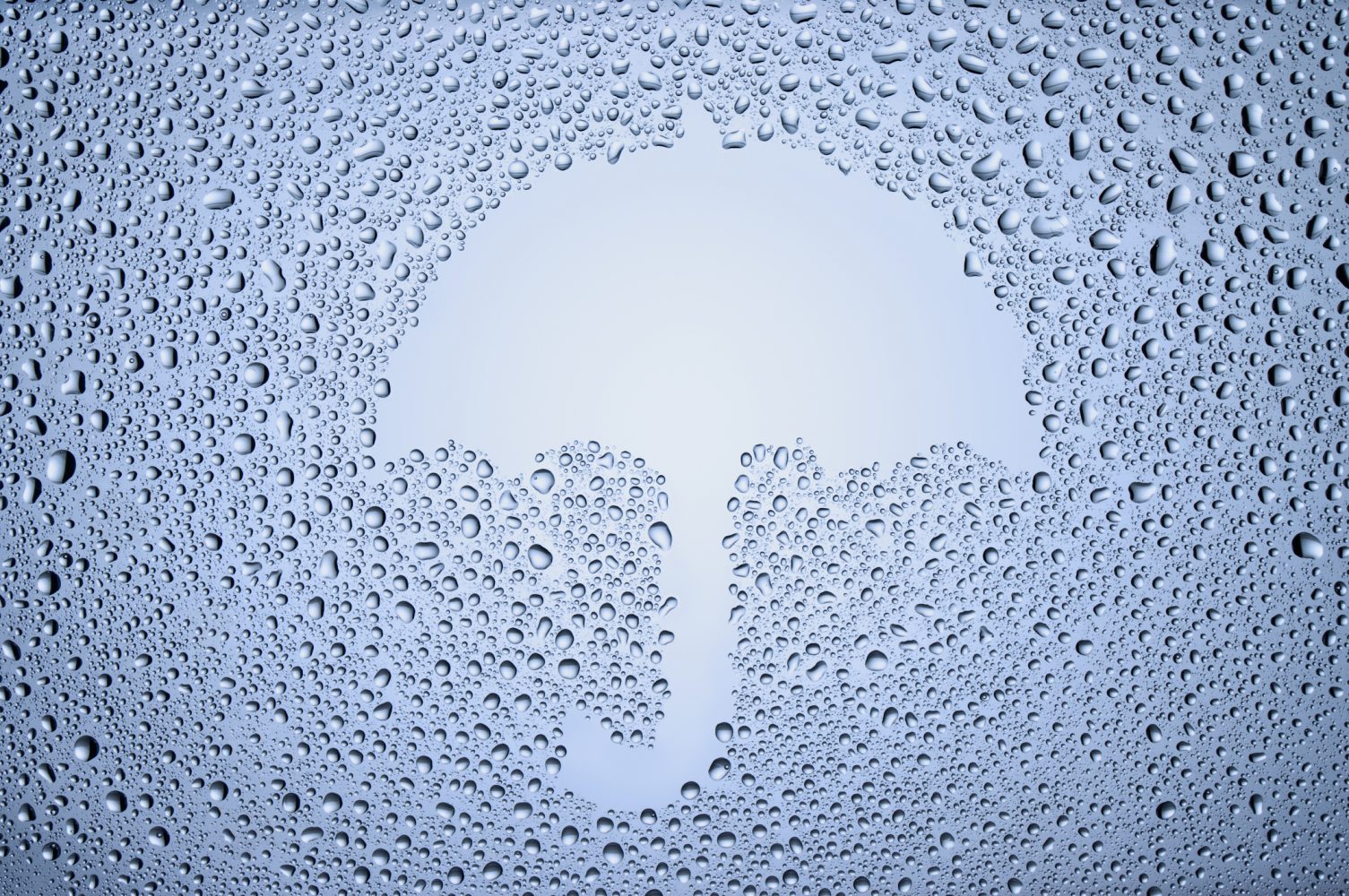 Lluvias en la zona central y vientos en el norte: Así se vendrán los próximos días según la Dirección meteorológica