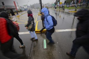 Instalan los primeros semáforos de suelo para prevenir accidentes