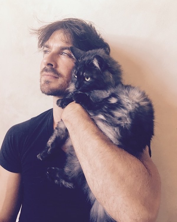 Gatos Ian Somerhalder
