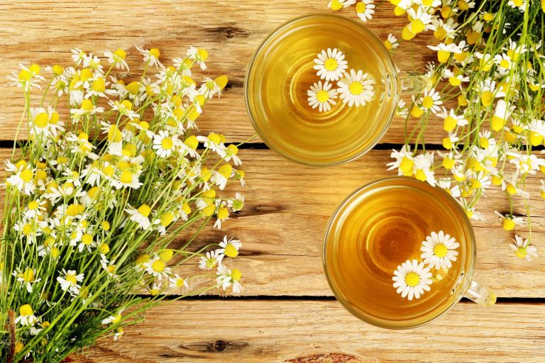 Descubre las propiedades medicinales de la manzanilla