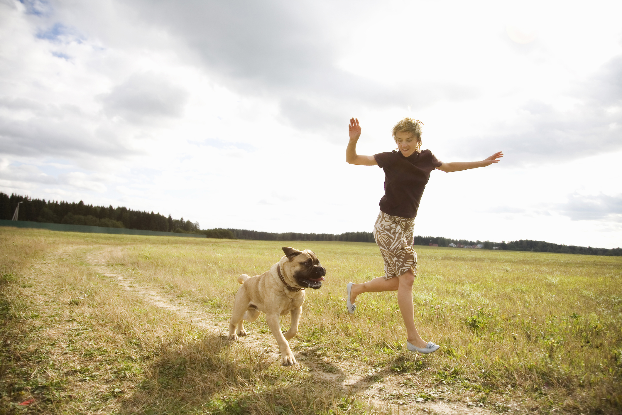 ¿Una mujer fue atacada por una jauría de perros?