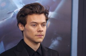 Harry Styles sufrió acoso sexual en pleno concierto