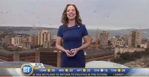 ¿Una chica del tiempo fue atacada por una gaviota gigante en plena transmisión?