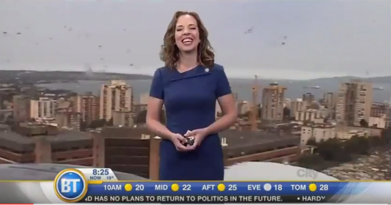 ¿Una chica del tiempo fue atacada por una gaviota gigante en plena transmisión?