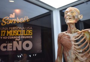 ¿Quieres ir a la exposición "Bodies"? Participa por entradas acá