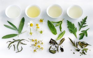 4 infusiones que potencian la memoria y el flujo sanguíneo