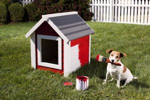 Esto sucede cuando tu perro tiene más talento para el arte que tú