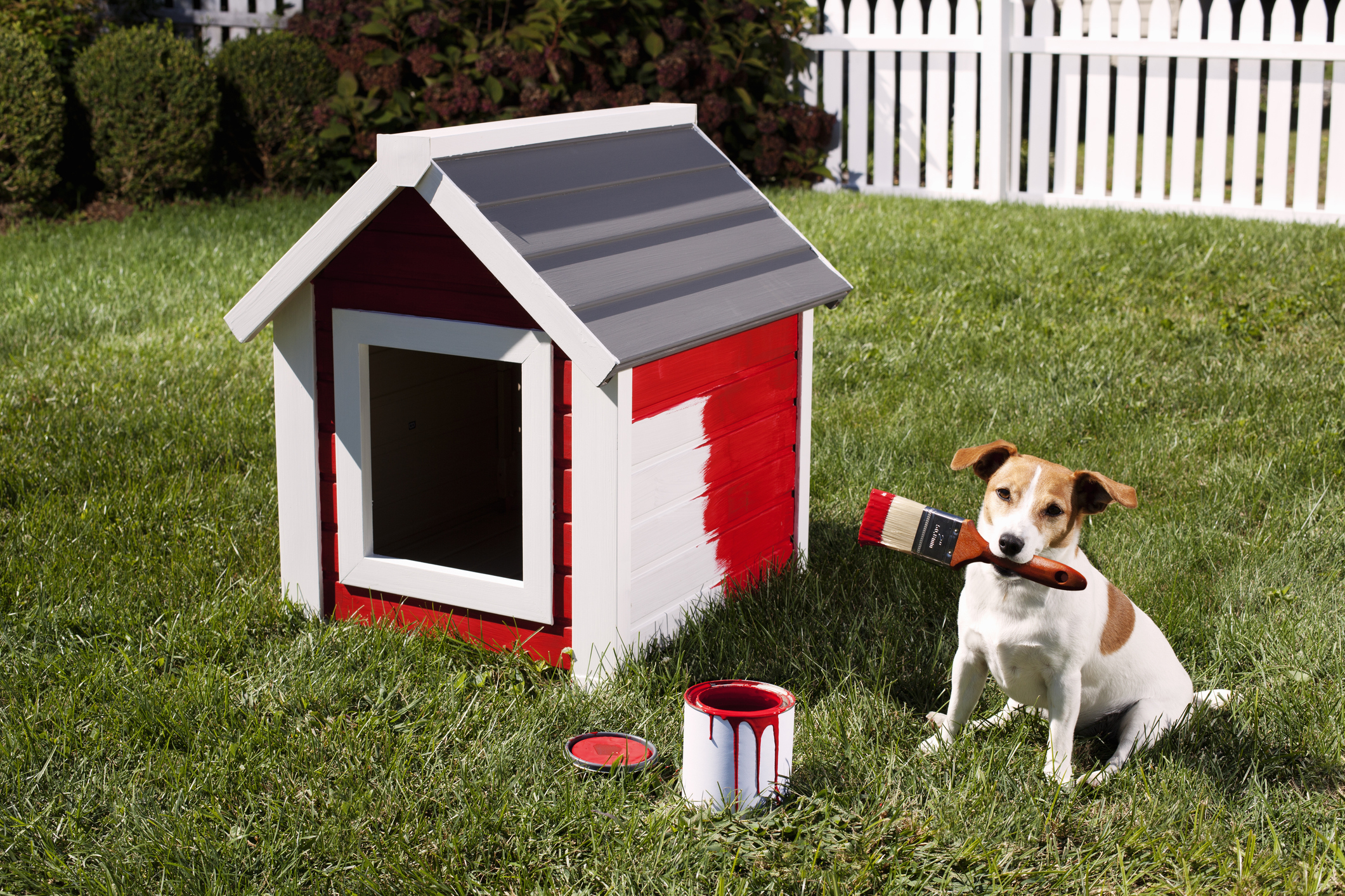 Esto sucede cuando tu perro tiene más talento para el arte que tú