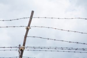 ¡Llegó competencia! Conoce al nuevo preso más sexy del mundo