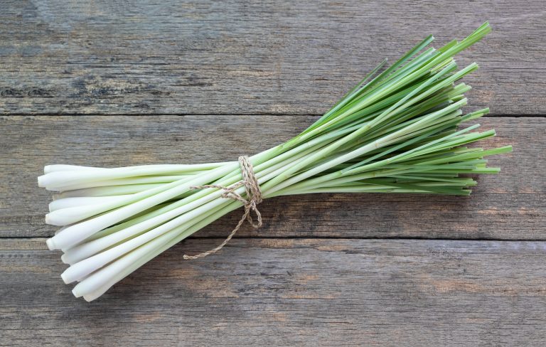 Estos son los beneficios de tomar infusión de lemon grass