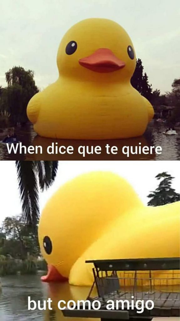 Los mejores memes que nos dejó el paso del pato gigante por nuestro país