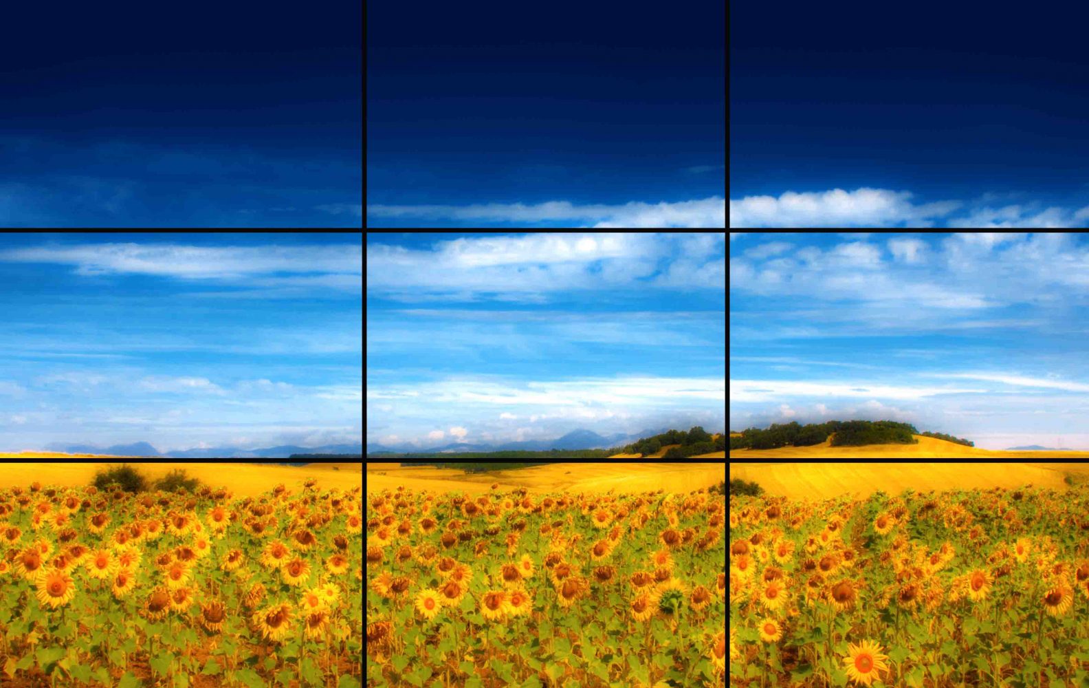 regla de los tercios