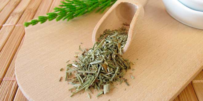 Descubre todos los beneficios de la cola de caballo