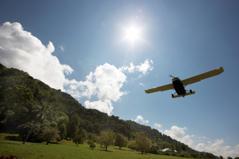 ¡Una avioneta se estrella contra un árbol!