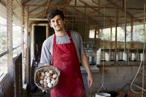 Los beneficios del huevo