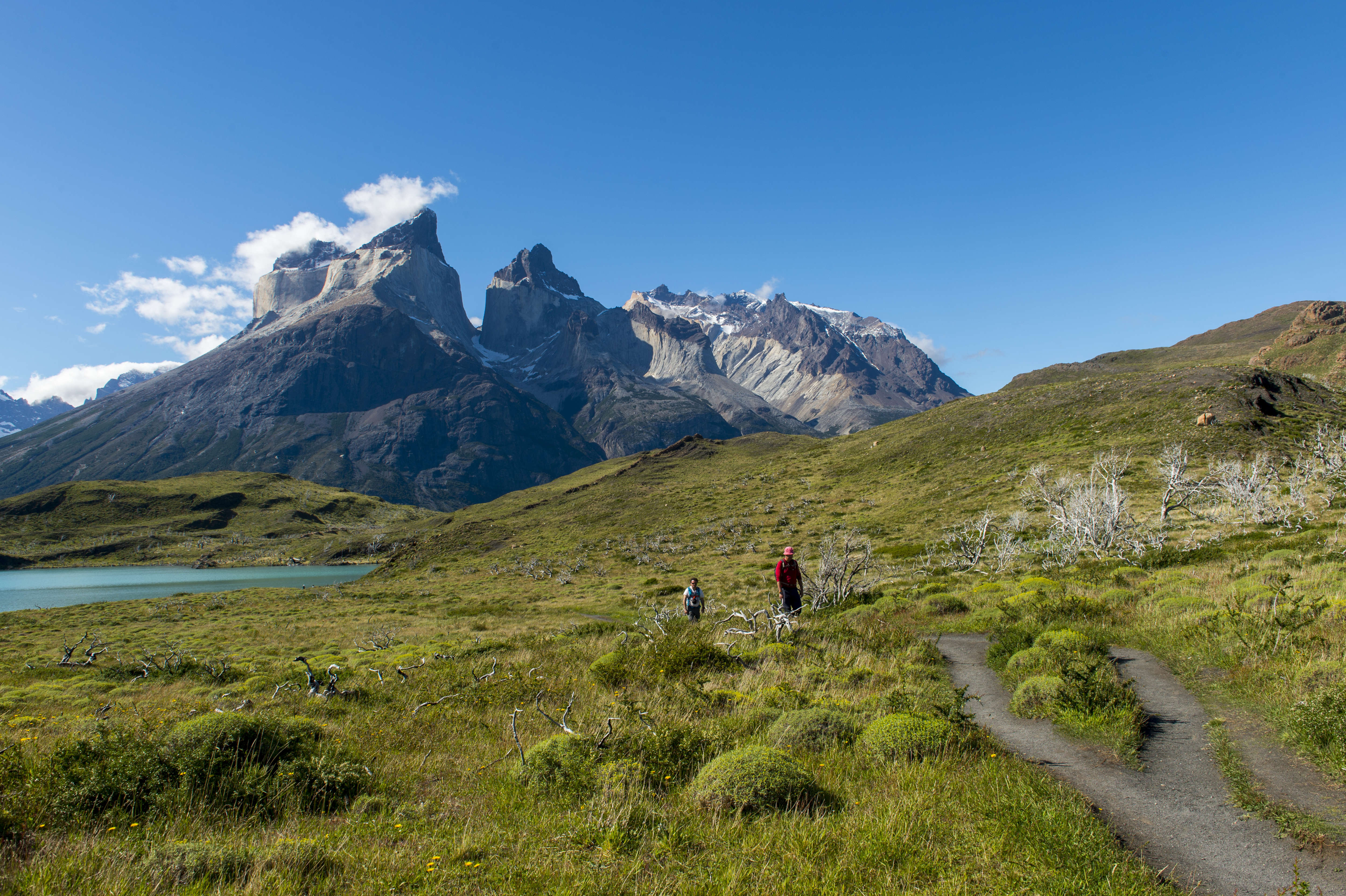 Go! Fest: El festival outdoor de Chile