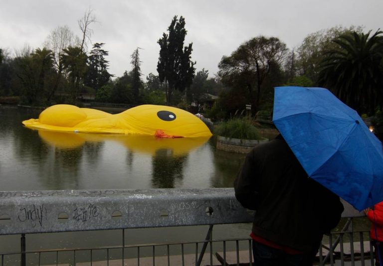 ¿Qué pasará con el "pato gigante" y que sufrió un "accidente"?